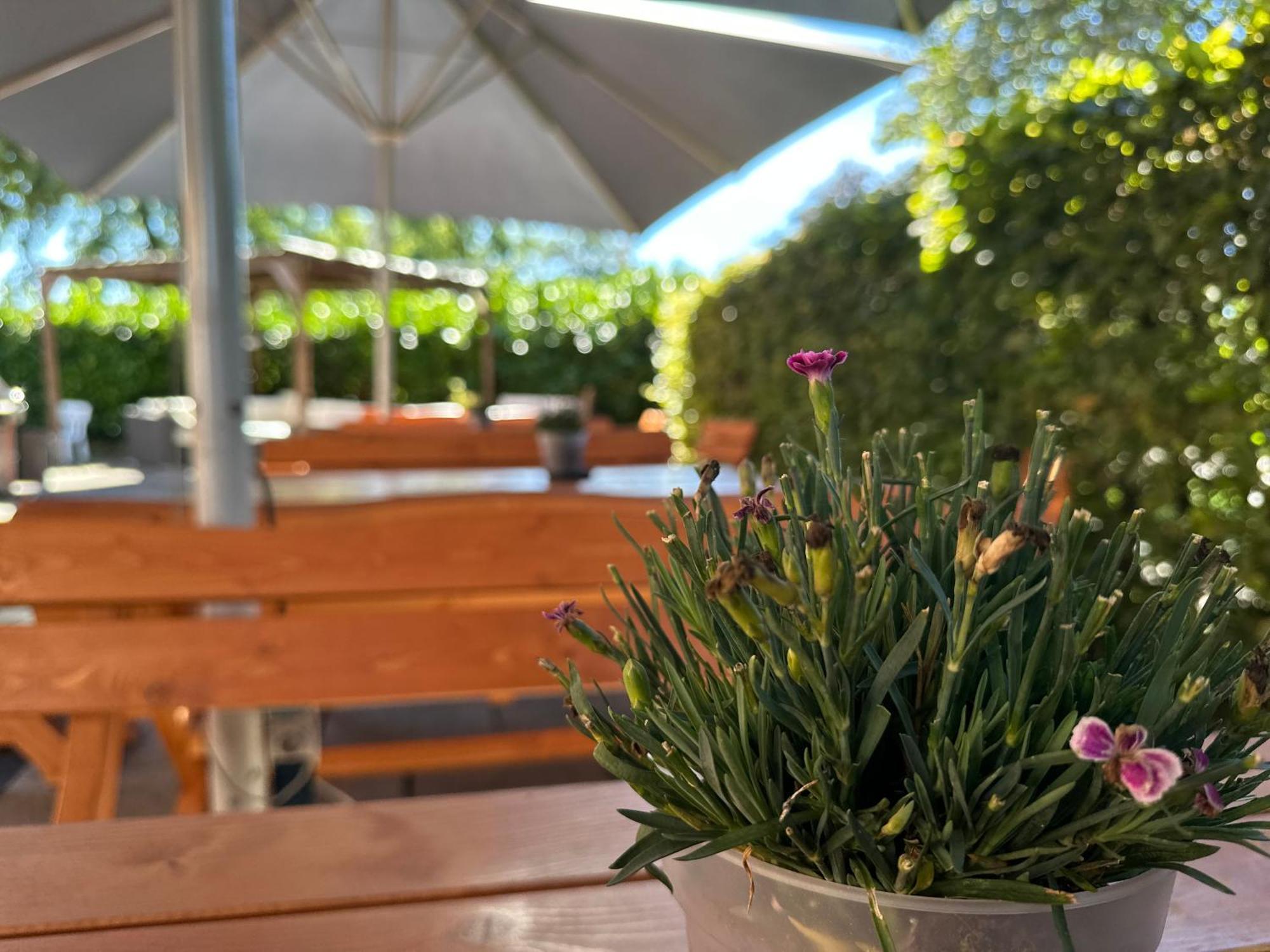 Hotel Schultheiss Hameln 하멜른 외부 사진